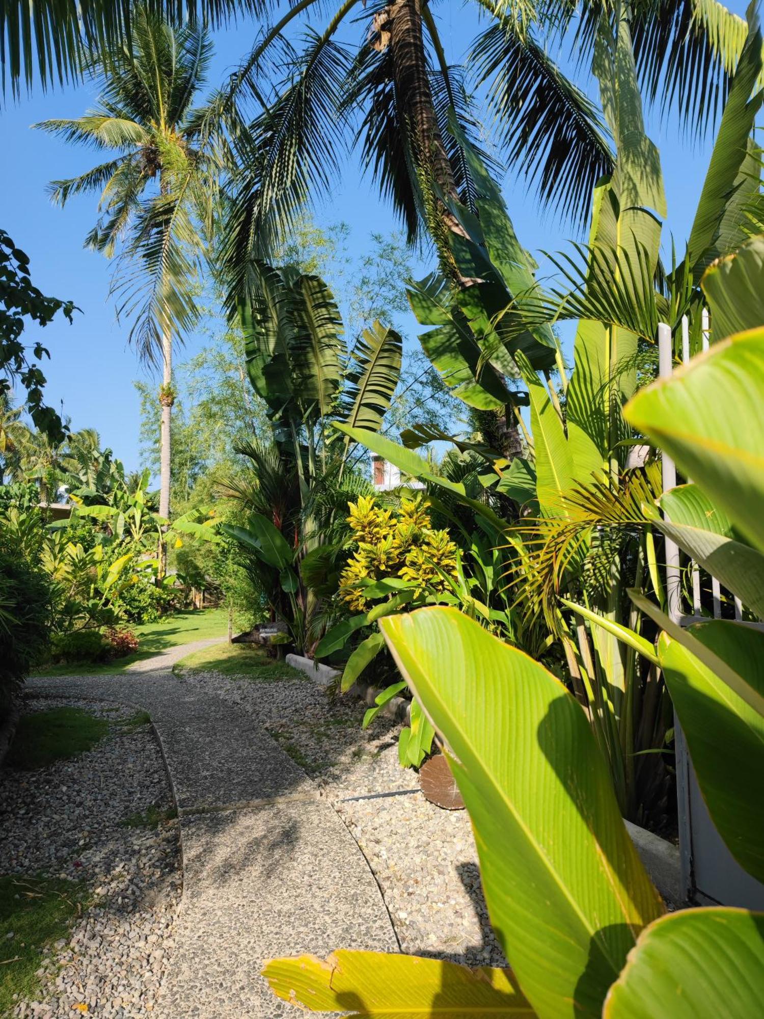 Daluyong Beach Resort General Luna  Exterior photo